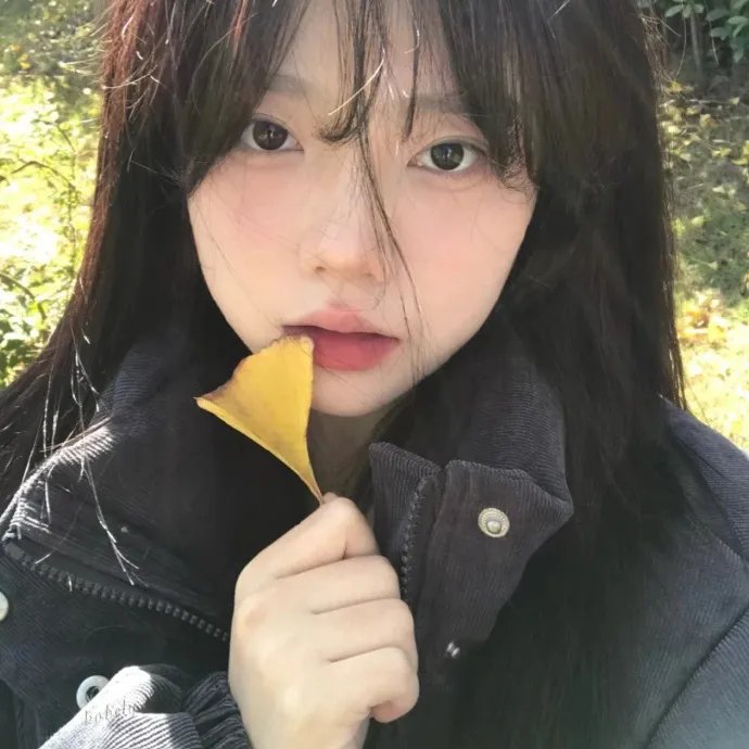 格吕宁根的秋天